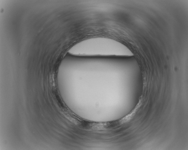 X0000061730182200512021025