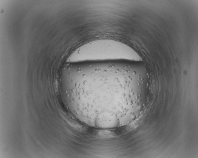 X0000061730183200512021025