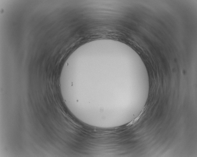 X0000061730184200512021025