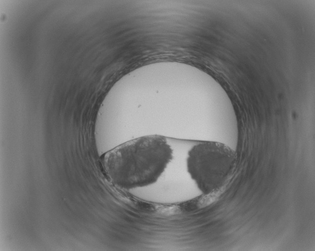 X0000061730185200512021025