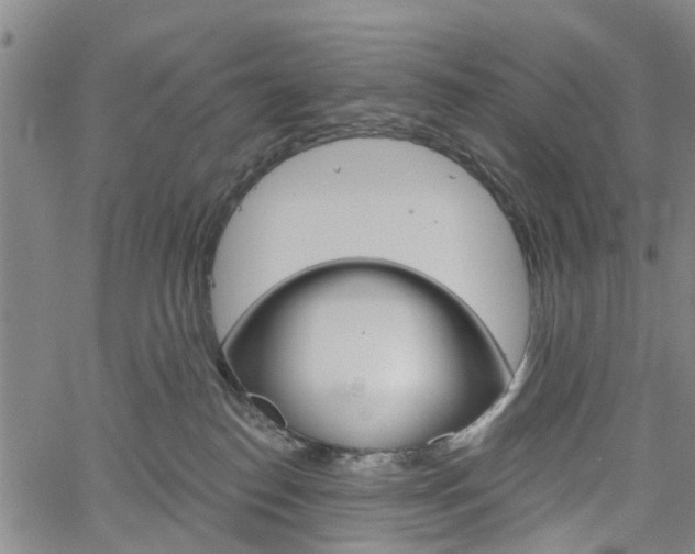 X0000061730186200512021025