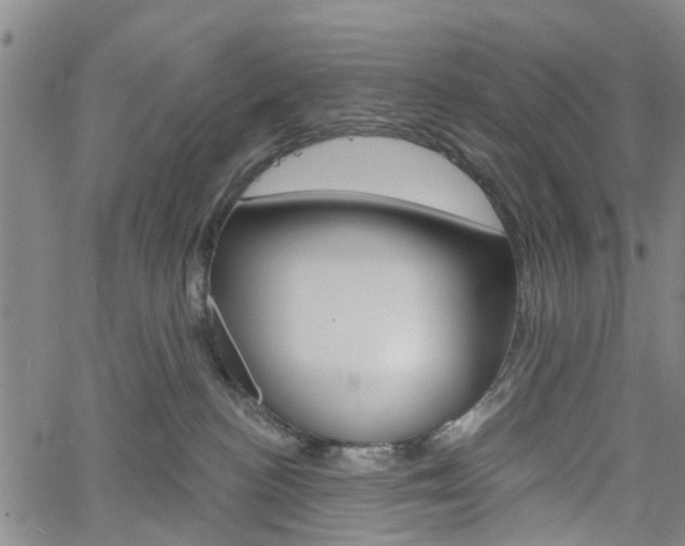 X0000061730188200512021025