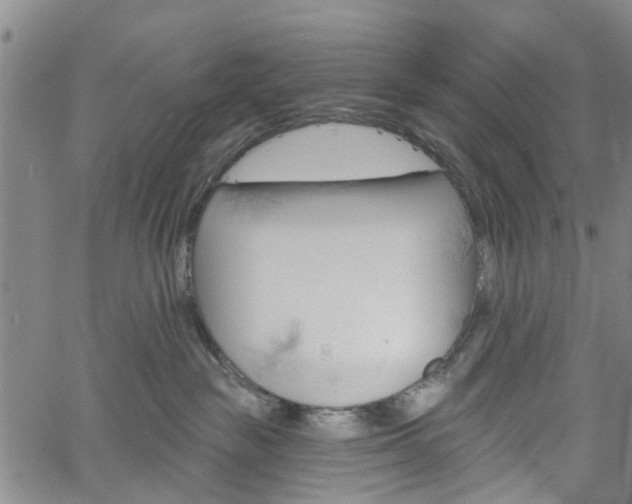 X0000061730189200512021025