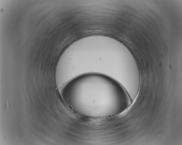 X0000061730190200512021025