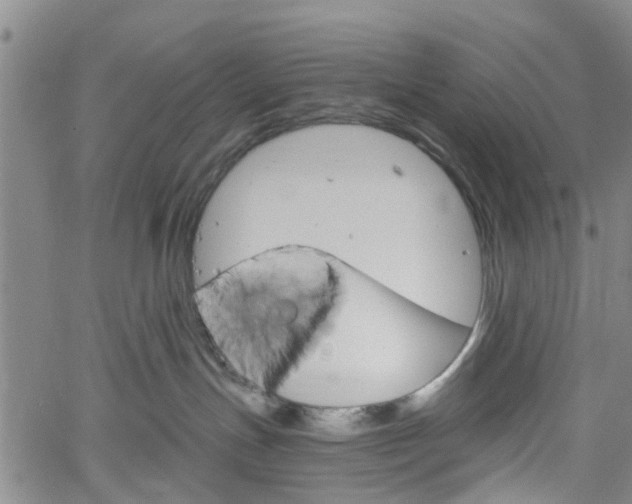 X0000061730191200512021025