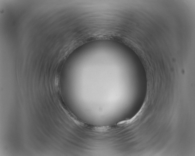 X0000061730192200512021025