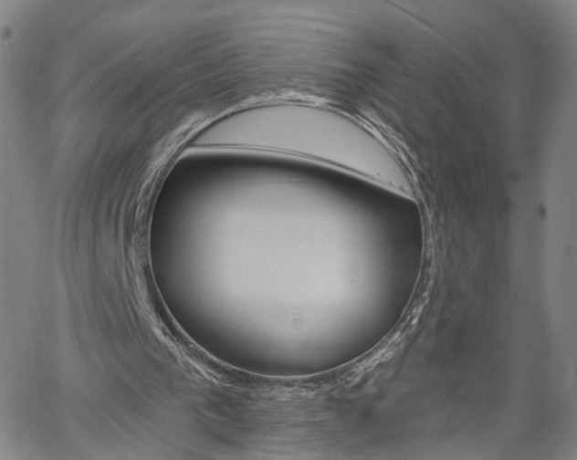 X0000061730193200512021024
