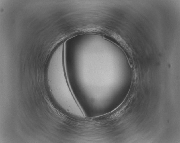 X0000061730201200512021024