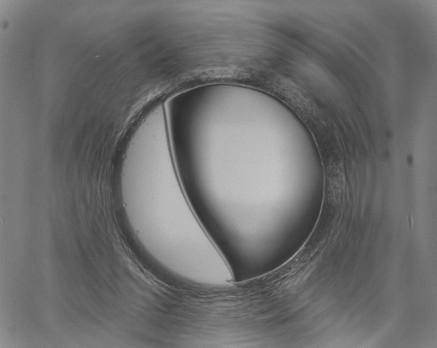 X0000061730207200512021024