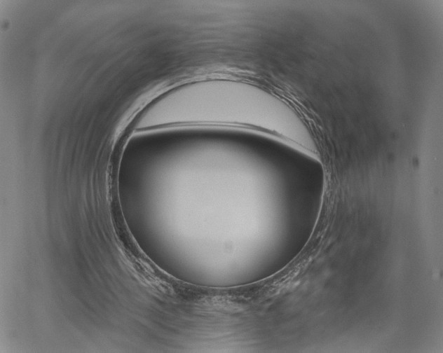 X0000061730244200512021023