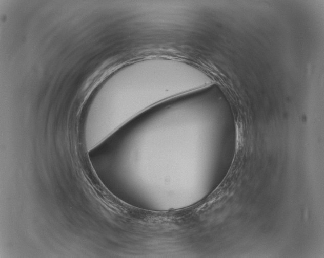 X0000061730291200512021023