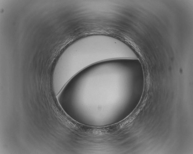 X0000061730305200512021022