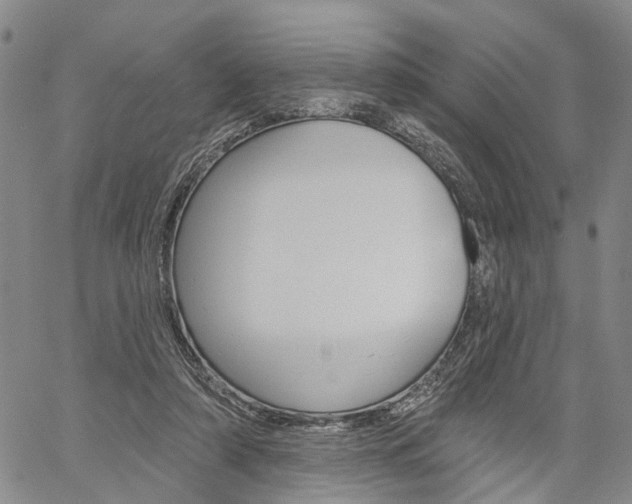 X0000061730306200512021022