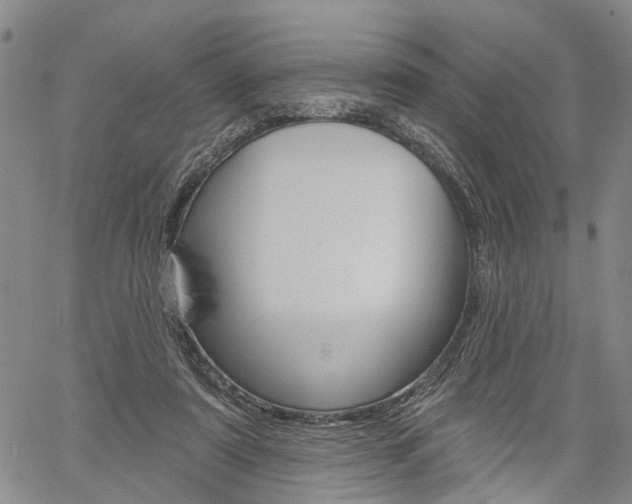 X0000061730307200512021022
