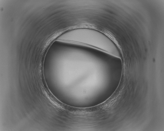 X0000061730389200512021021