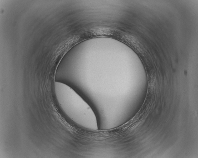X0000061730402200512021021