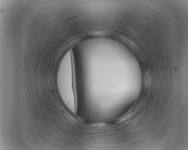 X0000061730428200512021020