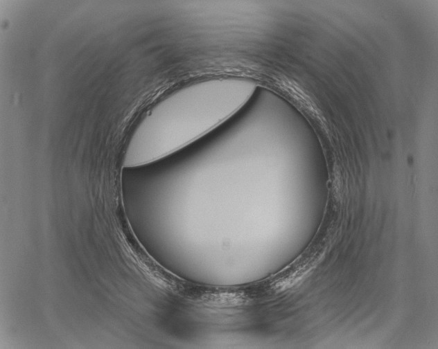 X0000061730449200512021020