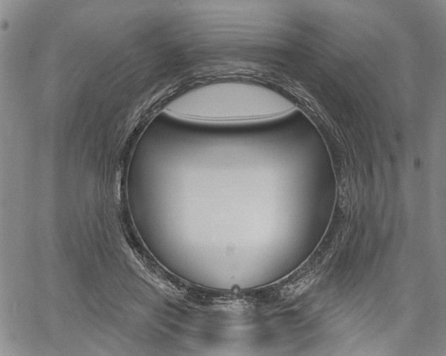 X0000061730454200512021020
