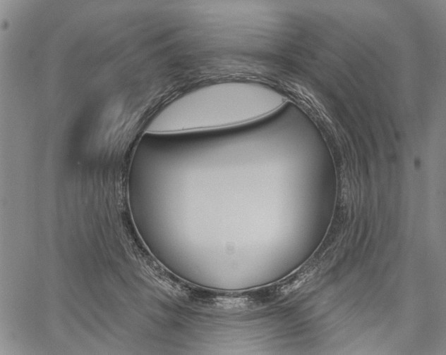 X0000061730457200512021020
