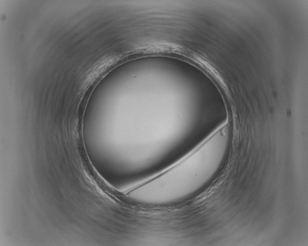 X0000061730485200512021019