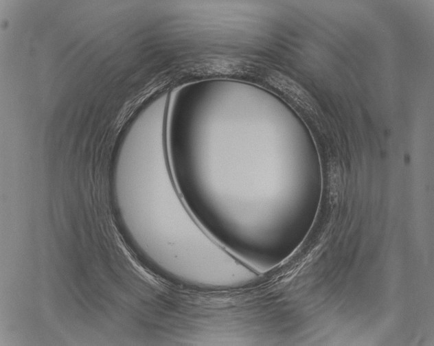 X0000061730489200512021019