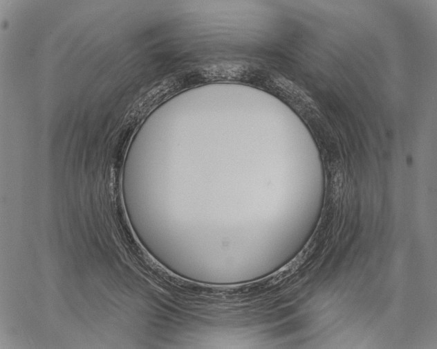X0000061730498200512021019