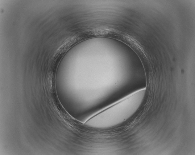 X0000061730501200512021019