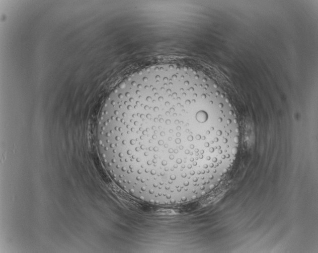 X0000061730519200512021019