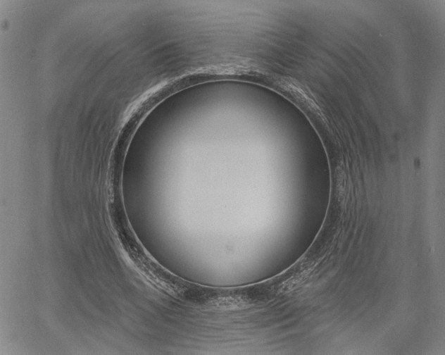 X0000061730536200512021018