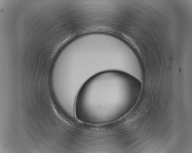 X0000061730538200512021018