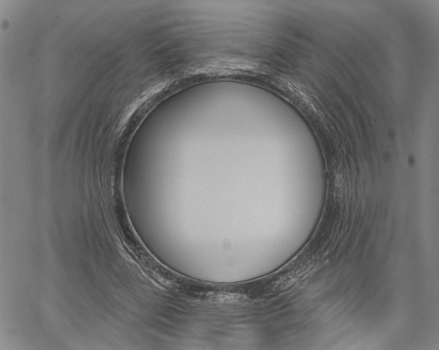 X0000061730539200512021018