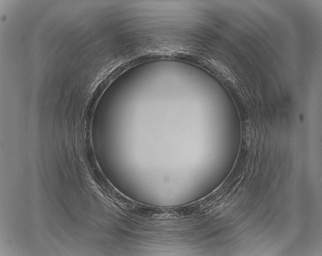 X0000061730544200512021018
