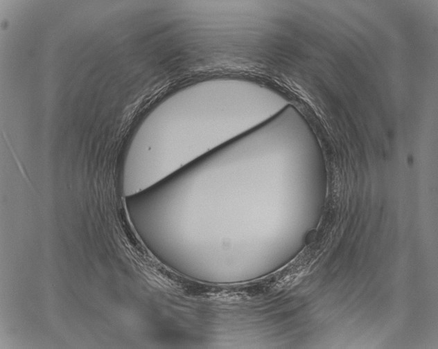 X0000061730545200512021018