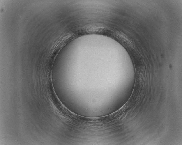 X0000061730546200512021018