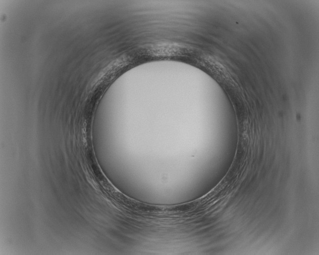 X0000061730547200512021018