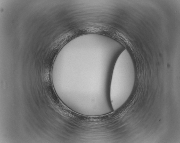 X0000061730549200512021018