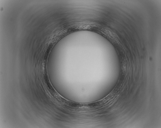 X0000061730551200512021018