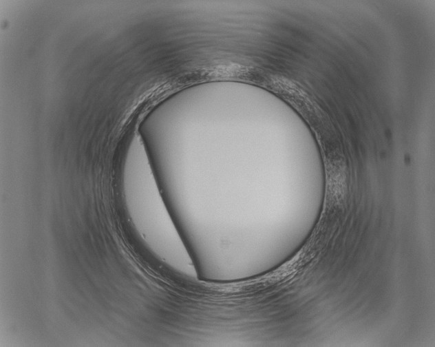 X0000061730591200512021018