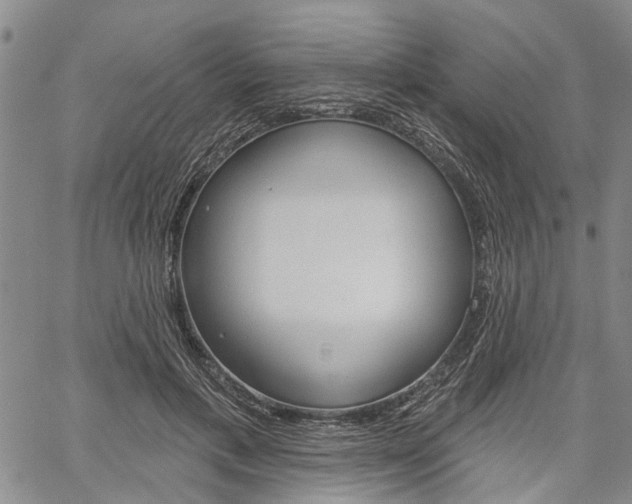 X0000061730597200512021018