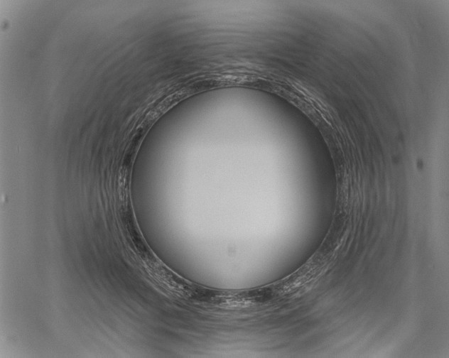 X0000061730601200512021018