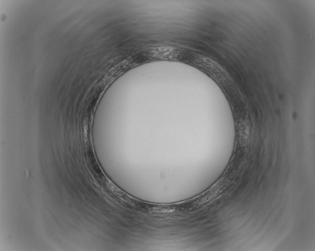 X0000061730602200512021018