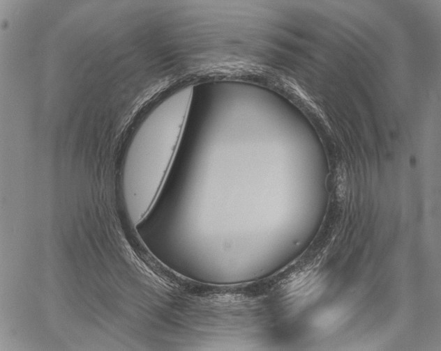 X0000061730637200512021017