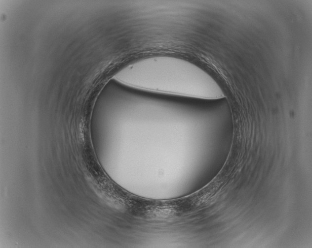 X0000061730643200512021017