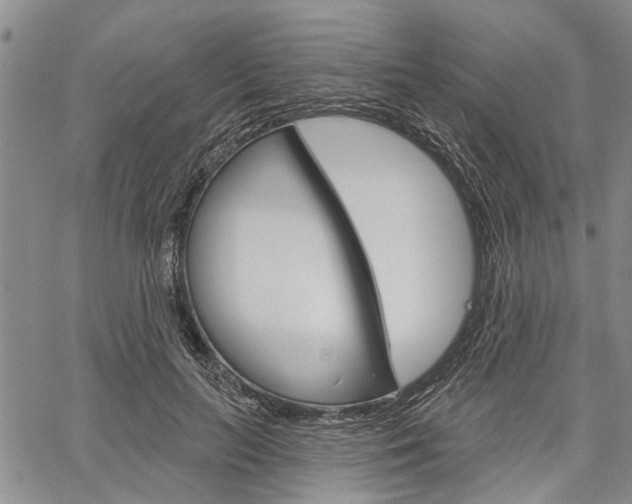 X0000061730647200512021017