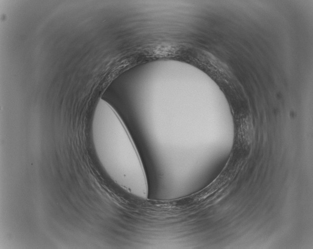 X0000061730651200512021017