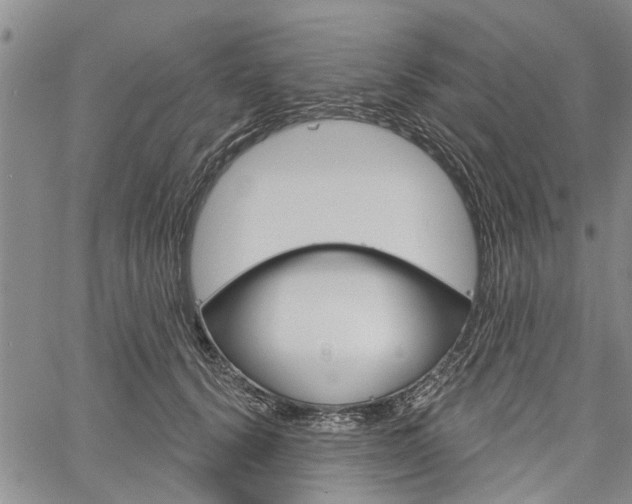 X0000061730656200512021017