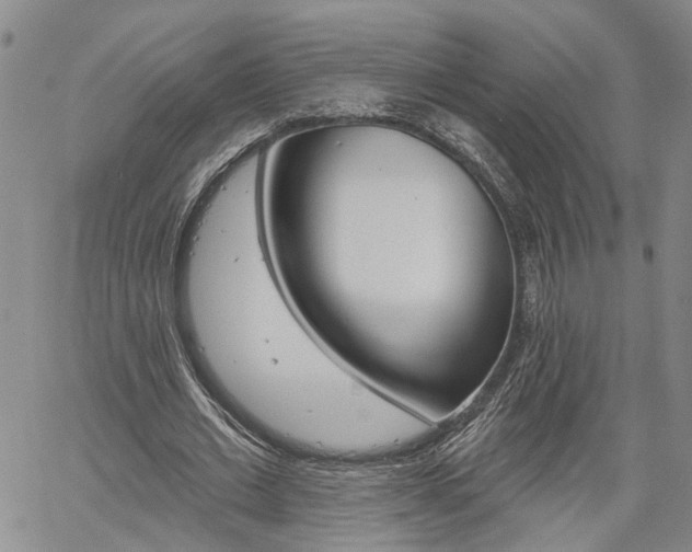X0000061730677200512021016