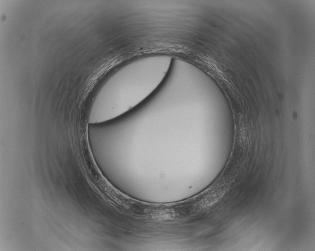 X0000061730683200512021016