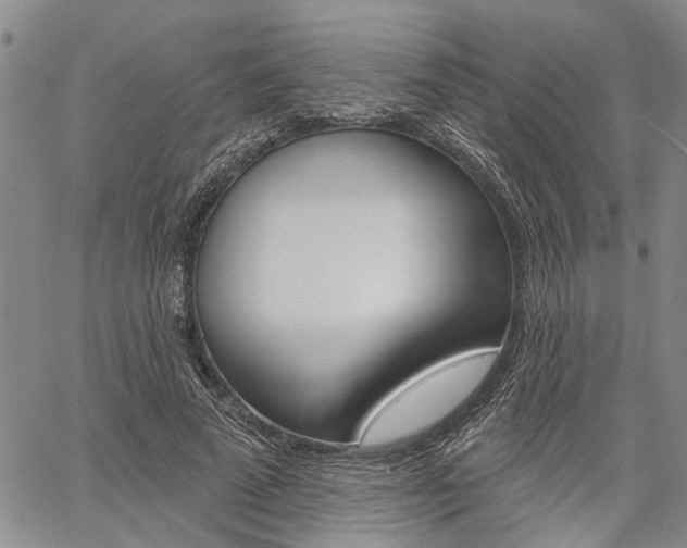 X0000061730689200512021016